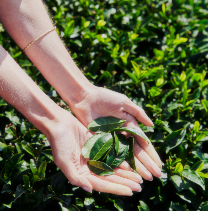 Nutritionally Packed Nutritionally Packed